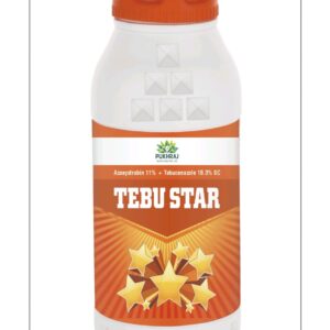 TEBU STAR