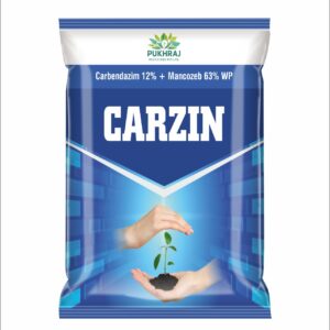 CARZIN