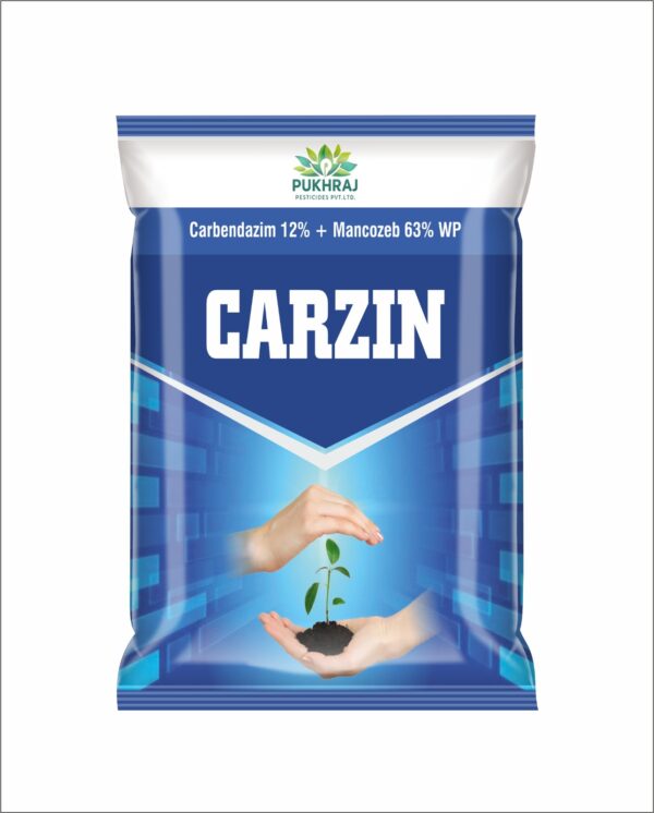 CARZIN