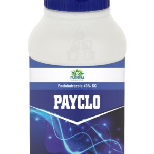 PAYCLO