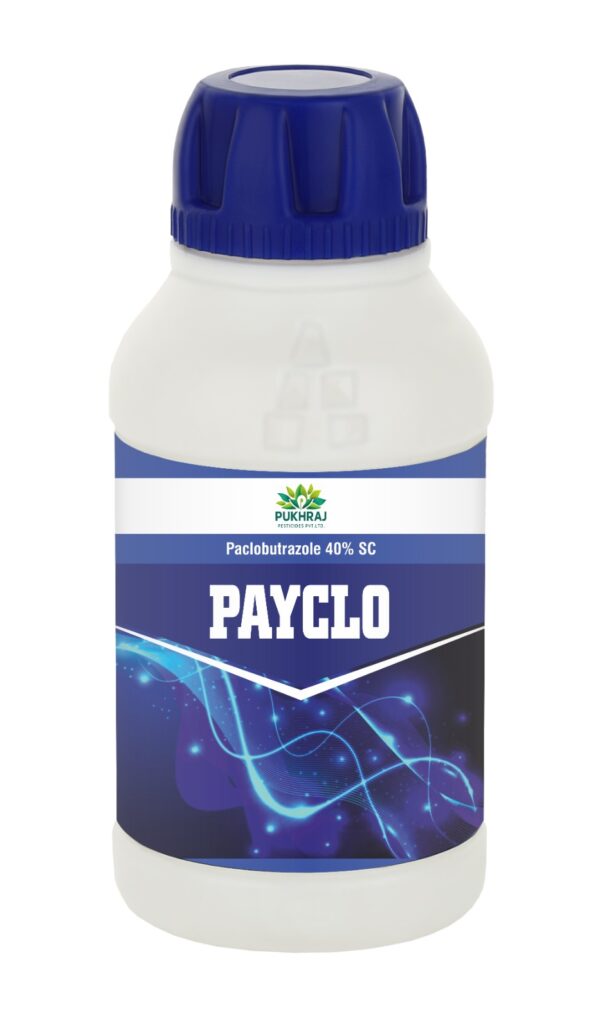 PAYCLO