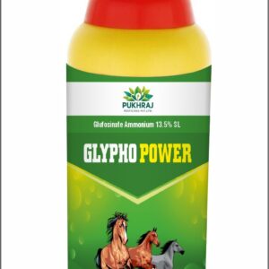 GLYPHO POWER