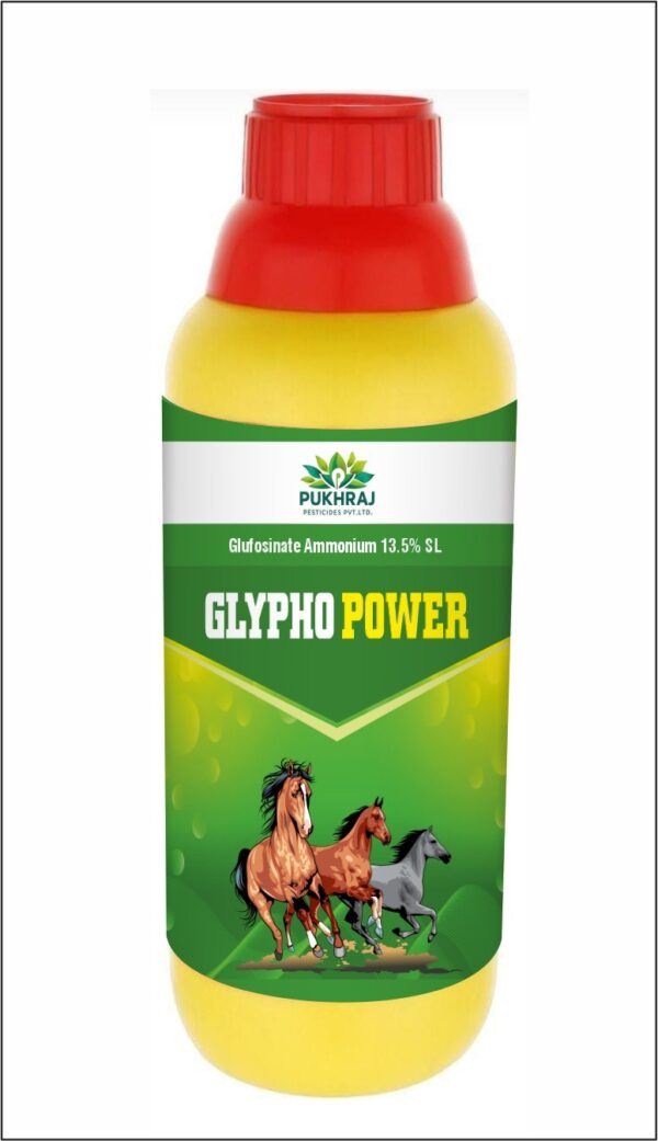 GLYPHO POWER