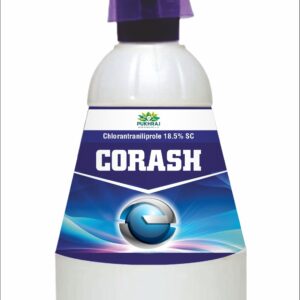 CORASH