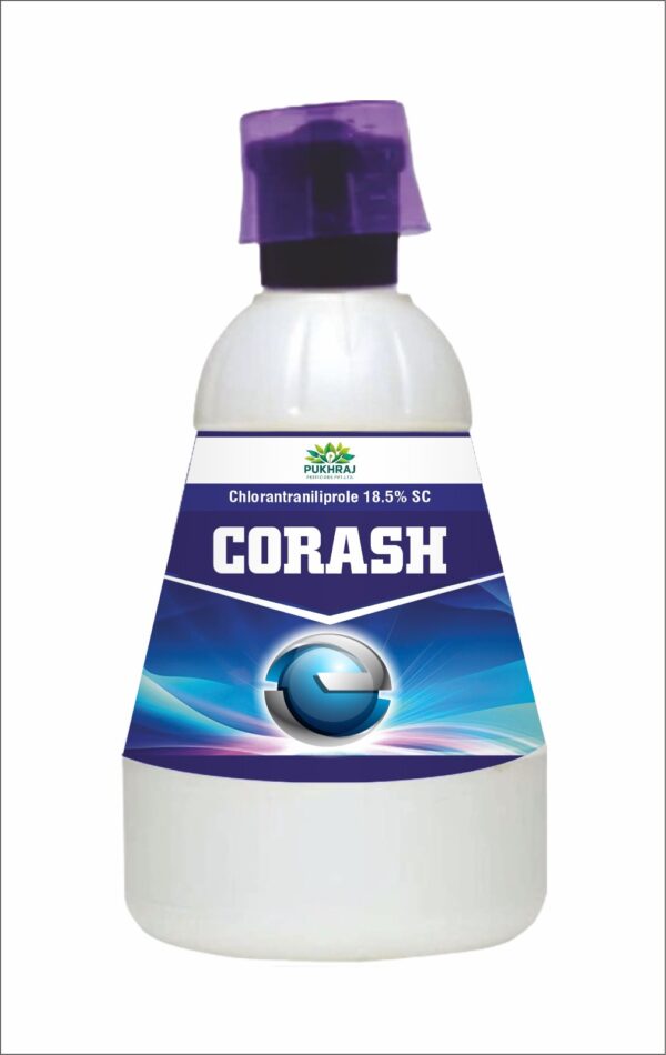 CORASH