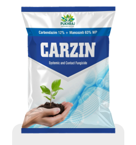 Carzin
