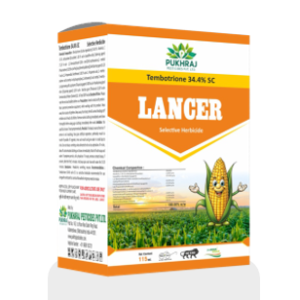 Lancer