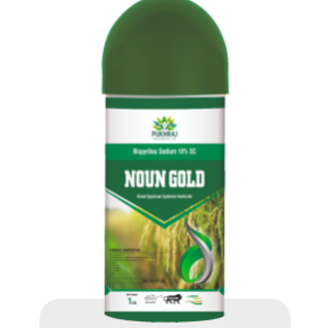 Noun Gold