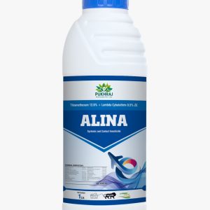 Alina