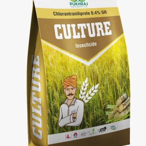 Culture