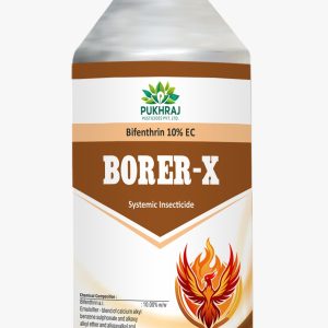 Borer-X