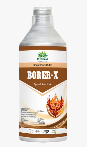 Borer-X