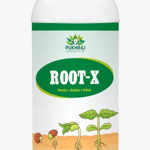 Root-X