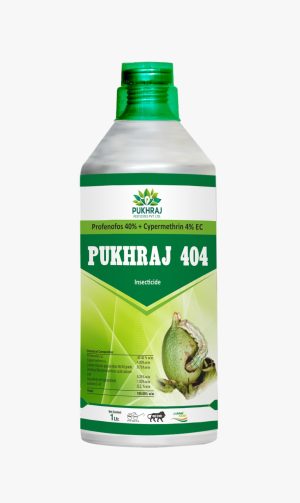 Pukhraj 404