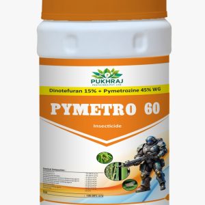 Pymetro 60