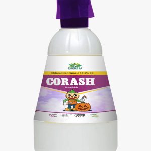 Corash