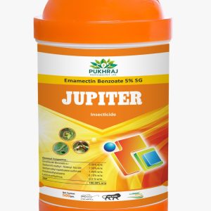 Jupiter