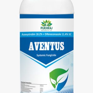 Aventus