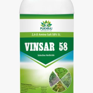 Vinsar 58