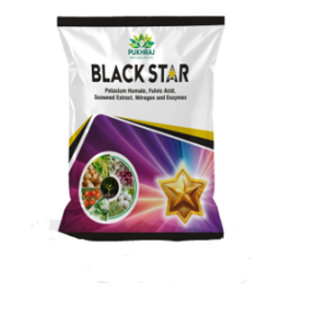 Black Star