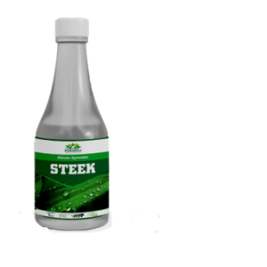Steek