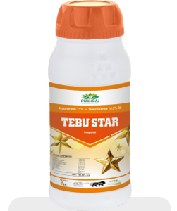 Tebu Star